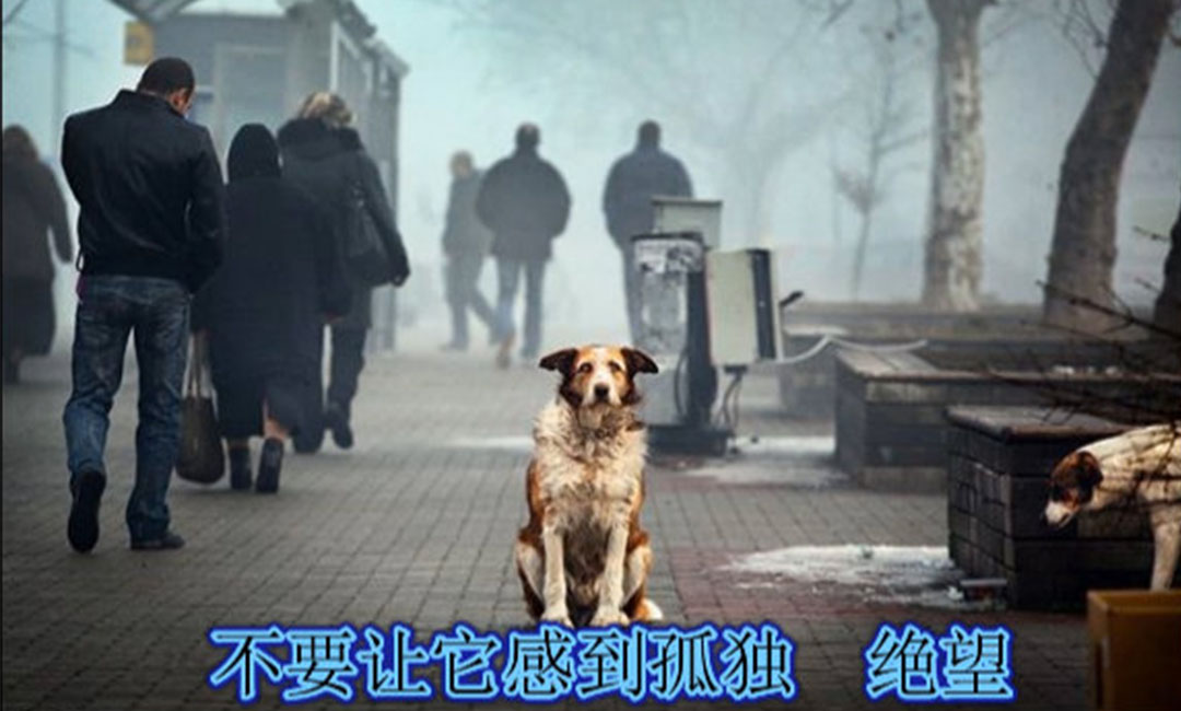 防城港爱影圈微博微信转发案例